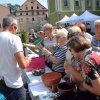 i targi senioralne w kodzku 26.08.2017 16